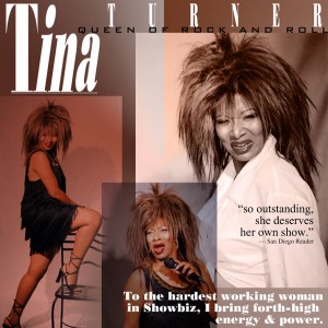 tina-turner-lookalike