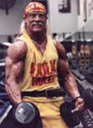 Hogan Hulk - CA
